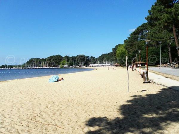 Appartement T2 A Cazaux, Pres Du Lac, Dans Residence Avec Piscine La Teste-de-Buch Kültér fotó